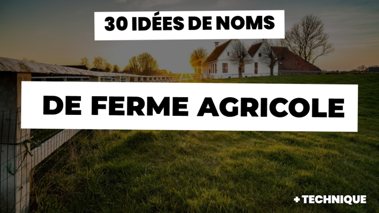 30 idées de noms de ferme agricole + techniques de brainstorming pour trouver le vôtre
