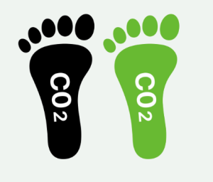 Qu’est-ce qu’un hébergement web écologique ?