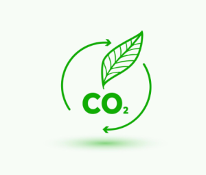 Comment reconnaître un hébergeur vraiment écologique ?