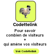 Voir Codettelink pour comprendre facilement vos chiffres